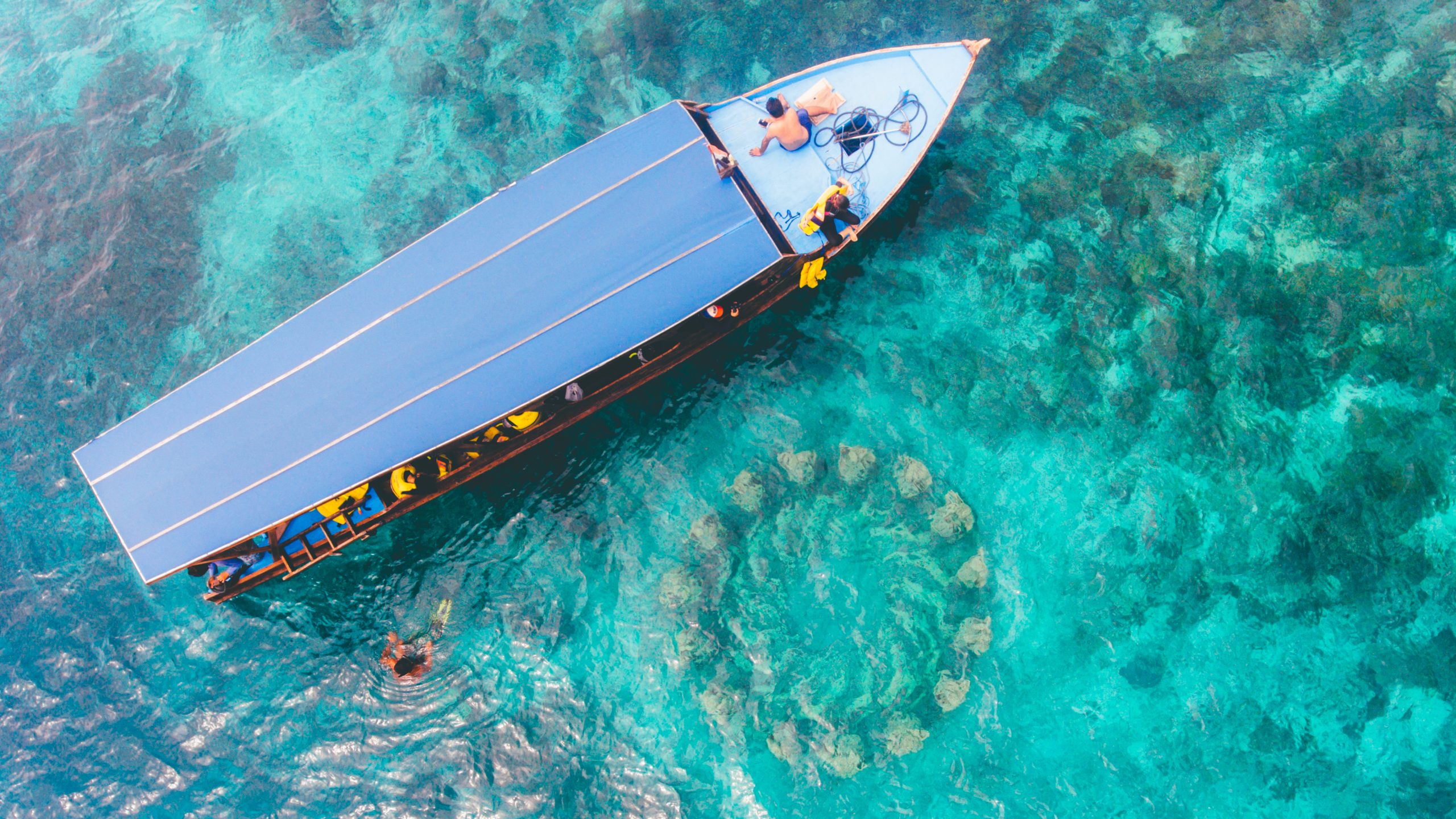 Gili snorkeling mango tiger